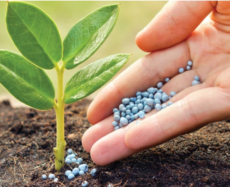 Fertilizantes agrícolas para optimizar cultivos en Paraguay