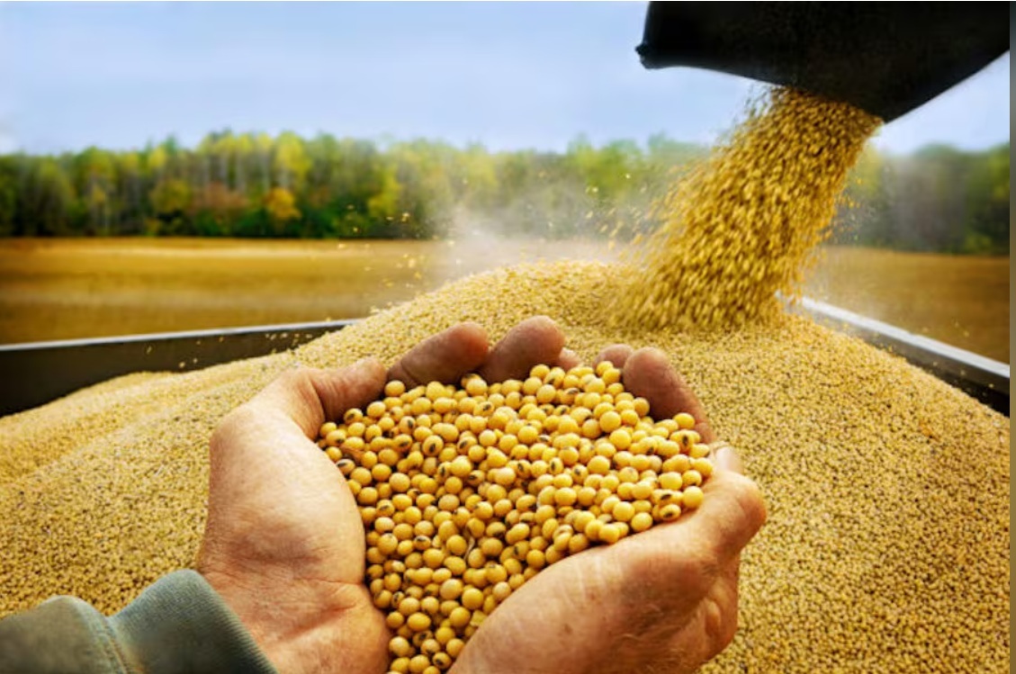 Campo agrícola paraguayo